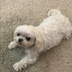 Meet your Posher, Arthur